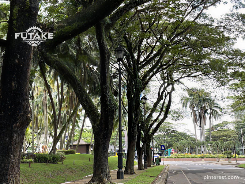 6 Rekomendasi Pohon Peneduh Jalan Raya: Kriteria dan Cara Melindungi Area Akar