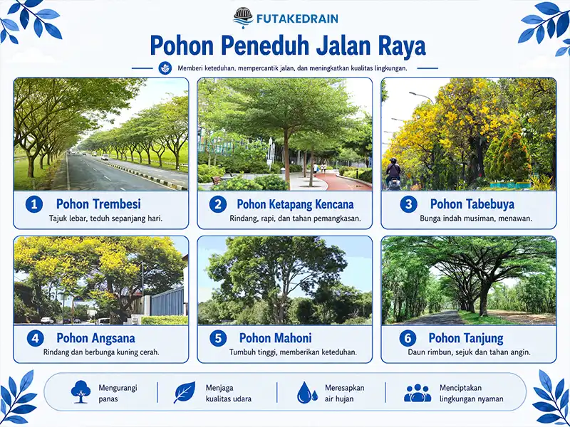 tanaman untuk peneduh jalan raya yang cocok dengan menggunakan grill tanaman besi